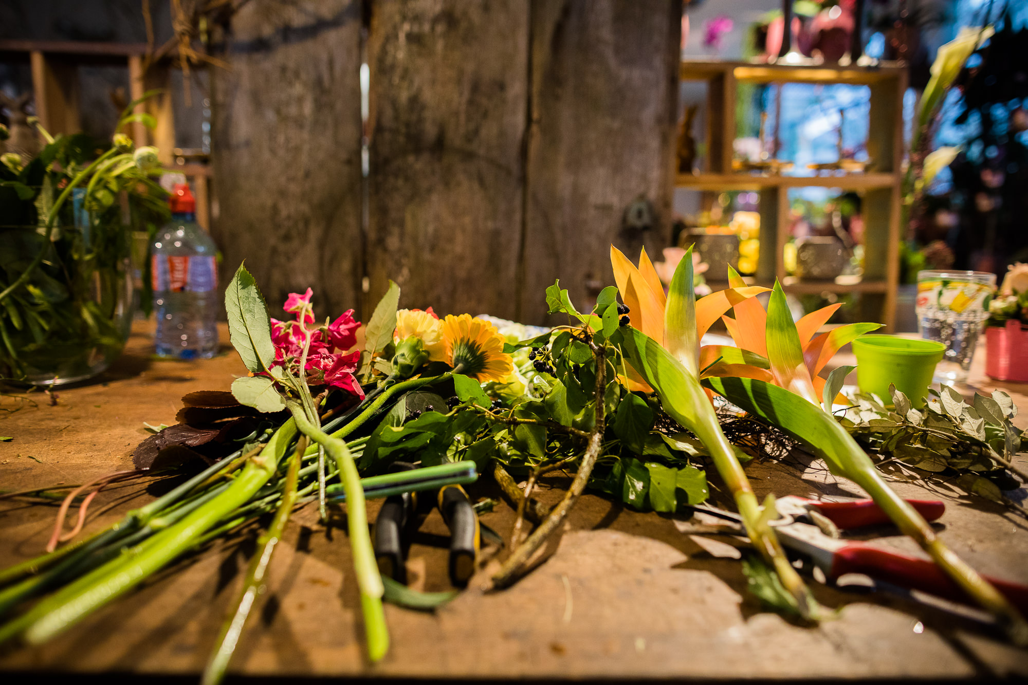 Export x3 5D4 9428 Businessauftrag 2017 Blattform Aarau